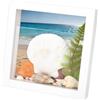 PH PandaHall Scatola Esposizione in Legno per Conchiglie 20.5cm Cornice Vetrata per Collezione Conchiglie Portaconchiglie Bianco Astuccio per Decorazione Casa Costiera Conchiglia