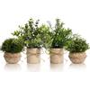 YVONNEYI piante e fiori artificiali modellati, mini piante in 4 pezzi, set di vasi artificiali, piante di artificiale verde a sette strati, artificiali in plastica