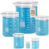 Karter Scientific Karter Scientific 213A2 - Set di 5 beaker in vetro borosilicato, 50, 100, 250, 500, 1000 ml (confezione da 5)