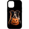 Halloween Pumpkin Border Collie Dog Owne Custodia per iPhone 12/12 Pro Border Collie Halloween Dog Jack O Lanterna faccia zucca