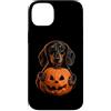 Halloween Pumpkin Dachshund Dog Owner Gi Custodia per iPhone 14 Plus Bassotto Halloween amante dei cani Jack O Lanterna faccia zucca