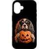 Halloween Pumpkin Cavalier Dog Owner Gif Custodia per iPhone 16 Cavalier King Charles Spaniel Halloween Cane Jack O Lanterna