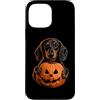 Halloween Pumpkin Dachshund Dog Owner Gi Custodia per iPhone 13 Pro Max Bassotto Halloween amante dei cani Jack O Lanterna faccia zucca