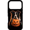 Halloween Pumpkin Border Collie Dog Owne Custodia per iPhone 17 Pro Border Collie Halloween Dog Jack O Lanterna faccia zucca