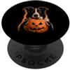 Halloween Pumpkin Border Collie Dog Owne Border Collie Halloween Dog Jack O Lanterna faccia zucca PopSockets PopGrip Adesivo