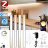 YSRSAI Zigbee LED Cabinet Light Bar Kit 30CM Dimmerabile Doppio Bianco Mensola da cucina Armadio Decor App Tuya/Controllo vocale per Google Alexa