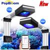PopBloom Lampada LED WiFi per Acquario PopBloom RL90/RL115, Illuminazione Professionale a Spettro Completo per Acquari di Barriera Corallina SPS/LPS