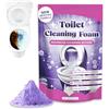 XZMCAT Detergente WC in polvere 100 g, schiuma detergente Fizz Clean | detergente per toilette con schiuma attiva, contro calcare, residui e sporco ostinato, neutralizza gli odori, per bagno