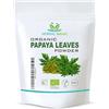 Herbal Magic 's Organic Papaya Leaf Powder (Carica Papaya) - Erba più pregiata in Ayurveda - Ideale per frullati, cottura al forno, zuppe - Senza riempitivi e conservanti - Una confezione da 200 g