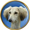 Saluki (Reale Cane Di Egitto) Distintivo di Lapel Pin