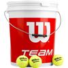 Wilson Team W Trainer - Secchiello da 72 Palline da tennis - Palline senza pressione - giallo - (Secchiello da 72)