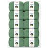Stafil Colors Set da 10 Gomitoli Colore salvia - 10 Gomitoli da 50 g (500 g Totali) - Lana Acrilica per Uncinetto, Maglia, Amigurumi, Crochet e Lavori Creativi