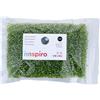 INNSPIRO Roccia di vetro rotonda argento verde avocado 3,0 mm. 8/0 500 gr.