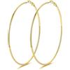 GoldChic Orecchini Cerchio Donna in Acciaio Inox 20-100mm | Orecchini Donna Cerchio Resistenti, Leggeri ed Eleganti, 20-100mm, Oro Argento Nero Opzionale, con Scatola Regalo