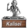 Reyrijf Stampa personalizzata 2D acrilico Donna DJ Player Desk Ornament Plaque, nome personalizzato DJ Music Disc Player Mixer Turntable Decor Sign, regalo per i musicisti Natale (S-05)