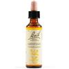 SCHWABE PHARMA ITALIA Srl Gentian bach orig 20 ml