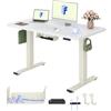 FLEXISPOT Scrivania Regolabile in Altezza, Doppio Motore, Scrivania Ergonomica da Ufficio con Piano Unico da 25 mm 120x80 cm, Gestione Cavi, Funzione Memory e Display Altezza