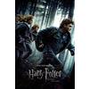 Close Up 1 poster di Harry Potter e i Doni della Morte (61 cm x 91,5 cm) + 2 listelli neri con sospensione