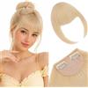 Silk-co Frangia Frontale Capelli Finti Frangetta Clip in Extension Posticci Donna Lisci Fascia Unica con Tempie 21.5g 2Clips Biondo Naturale