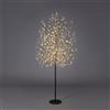 EDG Enzo De Gasperi Faggio Albero di Natale Luminoso con 900 LED Nero 180cm Metallo