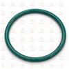 Didiesse Ricambi O-Ring Pistone (Verde) C&T042 Per Baby Frog Coffee & Tea