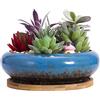ARTKETTY Vaso per Piante Grasse, Vaso Bonsai Grande con Vassoio di Drenaggio in Ceramica per Piante Cactus da Interno Vaso Fioriera Rotondo