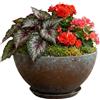 GROWSCAPE Classic Home & Garden Vaso per piante, resina, rame stagionato, 25,4 cm, Rosie