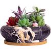 ARTKETTY - Vasi per piante grasse, larghezza 18,5 cm, fioriere grandi con drenaggio, vasi per bonsai in ceramica con vassoio, fioriere poco profonde per piante da fiori da interno e cactus, in marmo