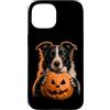 Halloween Pumpkin Border Collie Dog Owne Custodia per iPhone 15 Border Collie Halloween Dog Jack O Lanterna faccia zucca