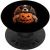 Halloween Pumpkin Cavalier Dog Owner Gif Cavalier King Charles Spaniel Halloween Cane Jack O Lanterna PopSockets PopGrip Adesivo