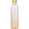 Hemobllo Borraccia in Vetro Portatile con Scala 500ml Arancia Sportiva