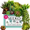 SEEKO Succulents Piante artificiali (confezione da 14), piante grasse finte realistiche senza vaso, decorazione per fai da te