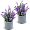 CADNLY Pianta di lavanda artificiale in vaso, fiori di lavanda finti, decorazione viola, pianta in vaso, bagno, camera da letto, cucina, casa colonica, confezione da 2
