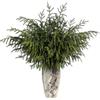 FOTEEWL Real Touch - Ramo di pino norfolk artificiale, 91,4 cm, rami di piante verdi finte, per fai da te, ghirlande, ghirlande natalizie, decorazioni per interni ed esterni (4 pezzi)