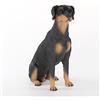 Conversation Concepts Doberman, statuetta nera non ritagliata