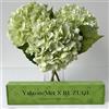 YalzoneMet Fiori artificiali di ortensia verde chiaro, 3 pezzi, realistici al tatto, grandi ortensie finte, 53,3 cm, in lattice di seta, per decorazione casa, matrimonio, composizione floreale