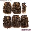 Rebecca Youth Extensioni di capelli umani ricci Rebecca Jerry, 6 pollici, ricci crespi, 5 pezzi, con riflessi P4/27, in trama, Remy