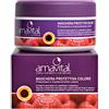 Oficine Cleman AMAVITAL MASCHERA PROTETTIVA COLORE 300ML