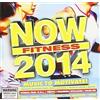 Various Artists Now Fitness 2014 (CD)
