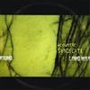 Acoustic Syndicate Long Way 'Round (CD) Album