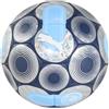 Puma Pallone Manchester City Culture+
