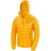 Ferrino Giacca Viedma Amber da Uomo