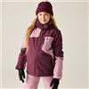 Dare2b Giacca Sci Ripper Fig da Bambina