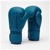 Leone Guantoni Boxe Tone X Ottanio