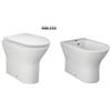 RAK Ceramics Kit Sanitari Filomuro Rimless Serie Feeling Rak Ceramics