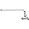 Braccio Doccia con Soffione California 30 cm - Cromo 30 cm - Cromo