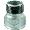Manicotto Maschio/Femmina in Ghisa Zincata 1 1/2 1"1/2