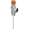 FAR Valvola Di Sicurezza Combinata Per Impianti Solari 6 Bar - 1/2 X 1/2 6 bar - 1/2" x 1/2"