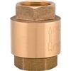 TIEMME Valvola Di Ritegno A Molla F/F Con Otturatore In Poliamminide 2 DN50 - PN10 2" DN50 - PN10
