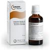 NAMED Amara-pascoe Gocce Omeopatiche 50ml